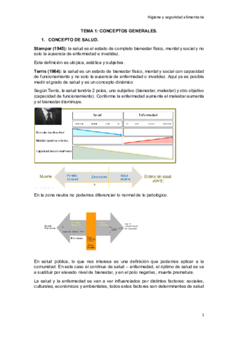 TEMARIO-COMPLETO-HSA.pdf