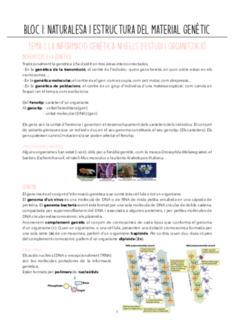 APUNTS-1-examem.pdf