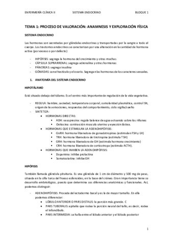 BLOQUE-1-Endocrino.pdf