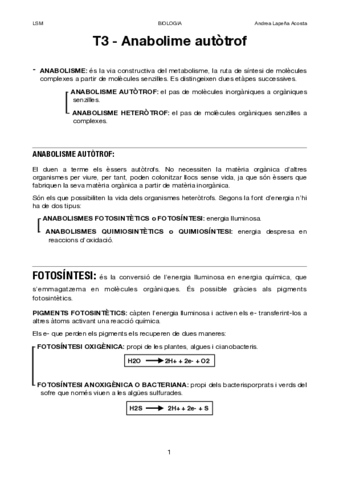 TEMA-3.pdf