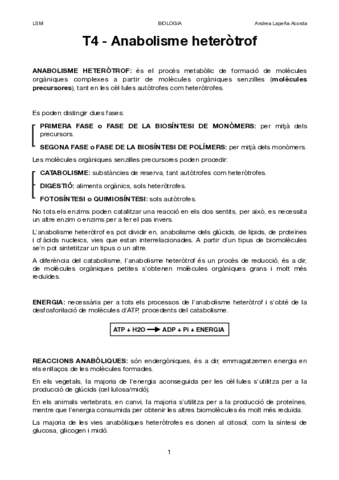TEMA-4.pdf