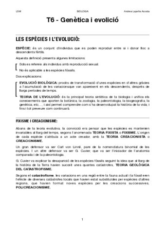 TEMA-6.pdf
