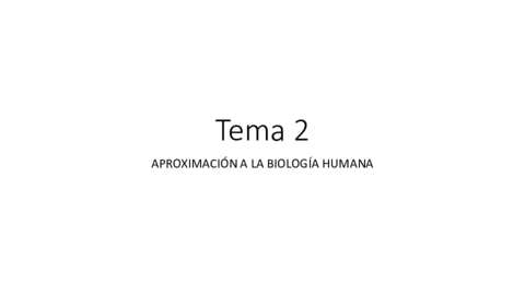 TEMA-2-TBE-PRESENTACIONpdf.pdf