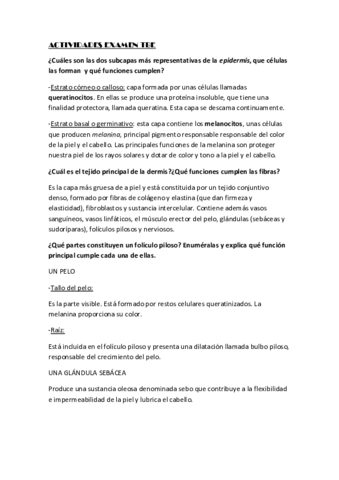 ACTIVIDADES-EXAMEN-TBE.pdf