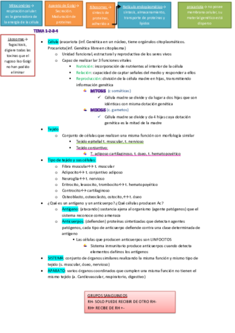 tbe-tema-celula-huesosregiones.pdf
