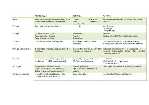 tabla-respiratorio.pdf