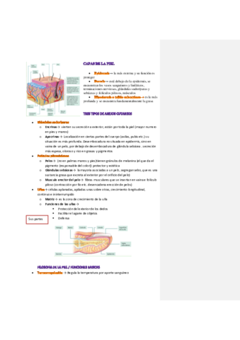 tema-2-higiene-la-piel.pdf