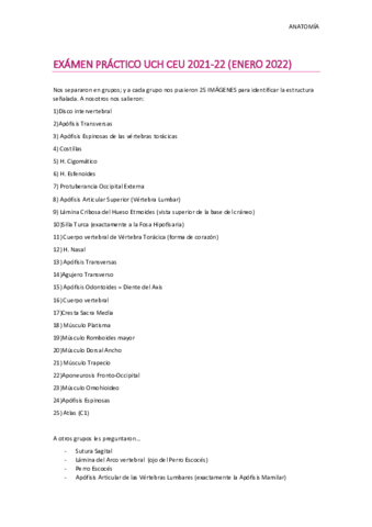 Examen-practico-UCH-CEU-2022.pdf