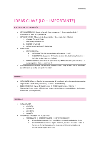 Ideas clave embriologia