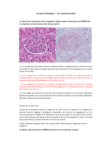 pat-1er-parcial-primer-cuatri.pdf