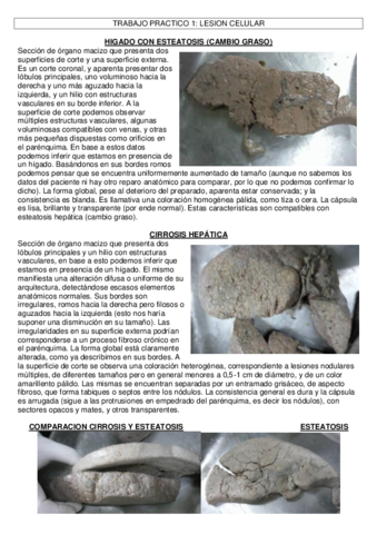 Macro-1er-parcial.pdf