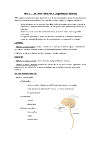 TEMA-1.pdf