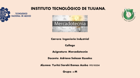 COLLAGE-MERCADOTECNIA-ACTI1.pdf