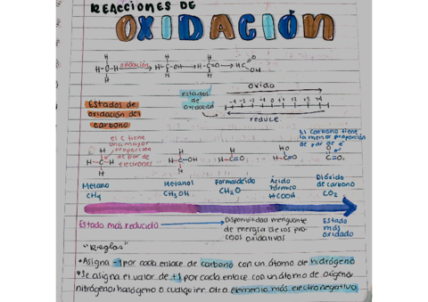 Reacciones-de-oxidacion.pdf