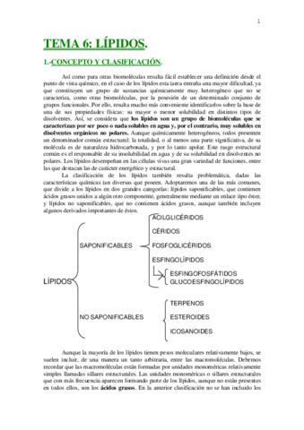 lipidos.pdf