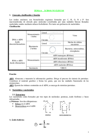 Acidosnucleicos.pdf