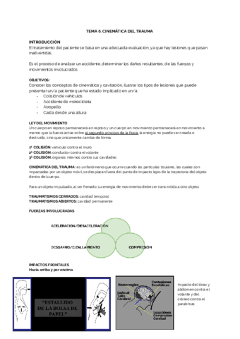 TEMA-6.pdf