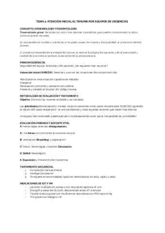 TEMA-2.pdf