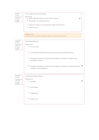 Actividad-dirigida-tema-13.pdf