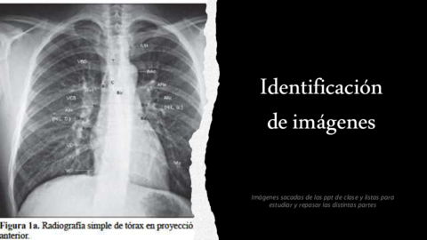 IDENTIFICACION-IMAGENES.pdf
