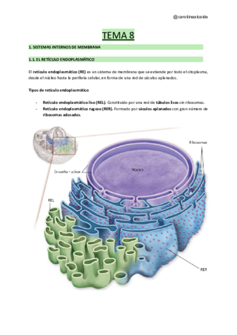 TEMA-8-Sistemas-internos-de-membrana.pdf