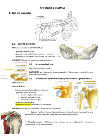 Artrologia-MMSS.pdf