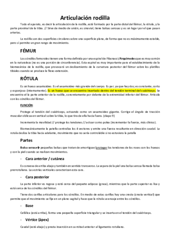 Articulacion-de-la-rodilla.pdf