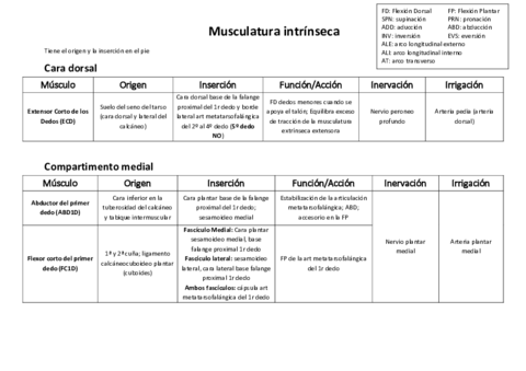 Musculatura-intrinseca.pdf