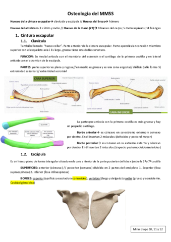 Osteologia-MMSS.pdf