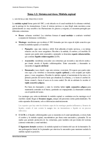 TEMA-1.pdf
