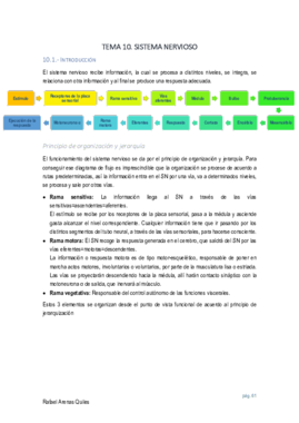 tema 3 respiratorio.pdf