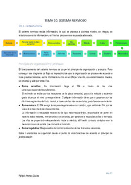 tema 5 renal.pdf