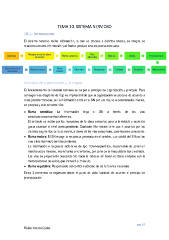 Tema 7 nervioso.pdf