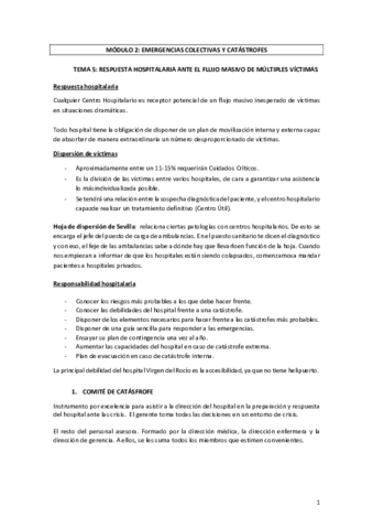 MODULO-2-Tema-5.pdf