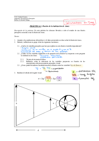 PRACTICA-1-TEMA-1-ILUSION-DE-AMES.pdf
