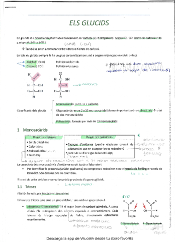 TEMA-2-GLUSIDS-.pdf