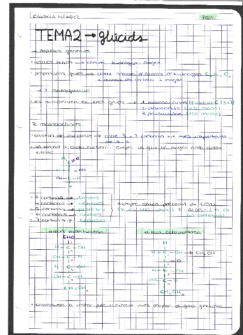 TEMA-2-GLUCIDS.pdf