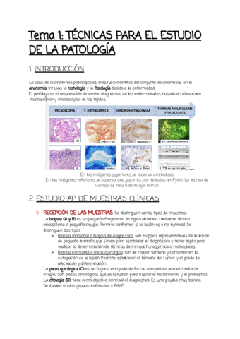 Taller-1.pdf