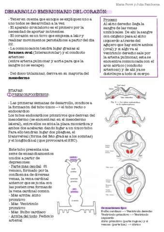 Seminaris-Anato-Embriologia-2.pdf