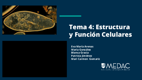 Presentacion-fisiopatologia.pdf