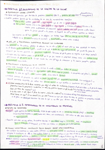 Practicas-bioquimica-Laura-Sanchez.pdf
