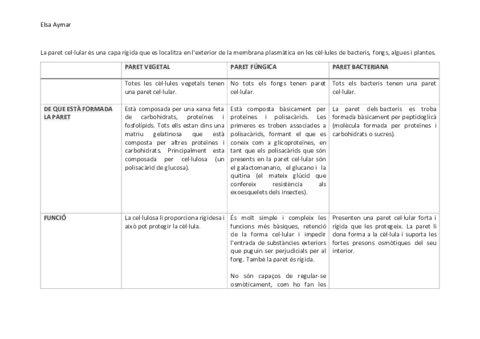 PARETS-COMPARACIO.pdf