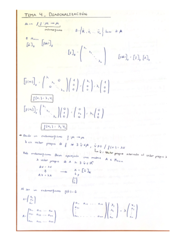 TEMA-4-DIAGONALIZACION.pdf