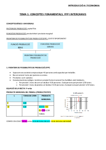 TEMA-1-1.pdf