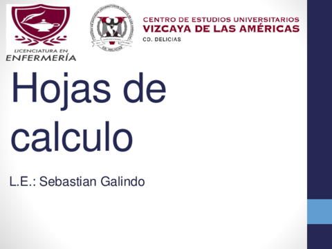 Hojasde-calculo-123.pdf