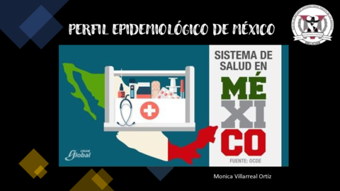3-Perfil-Epidemiologico-Del-Pais.pdf