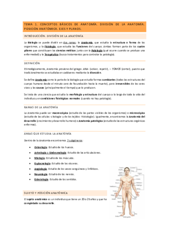 Temario-completo.pdf