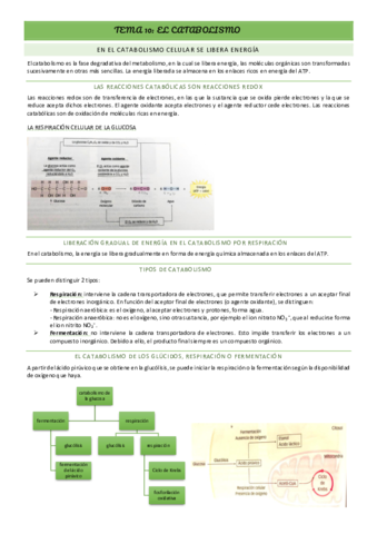 BIO-TEMA-10.pdf