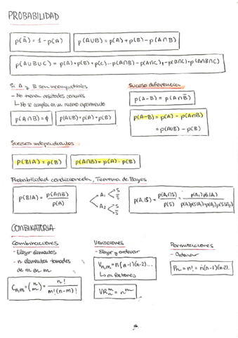 FormularioCompletoEstadistica.pdf