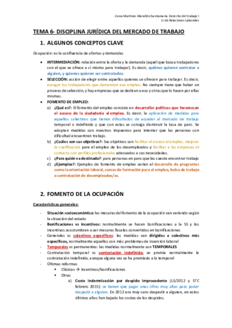 TEMA-6.pdf